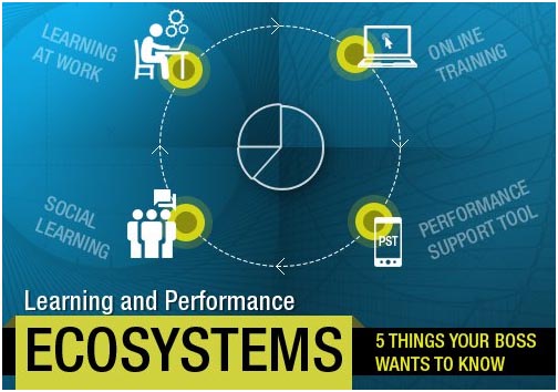 Learning and Performance Ecosystems
